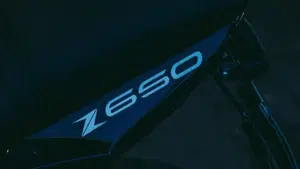 Kawasaki Z 650 (2017 - 19)  (10)