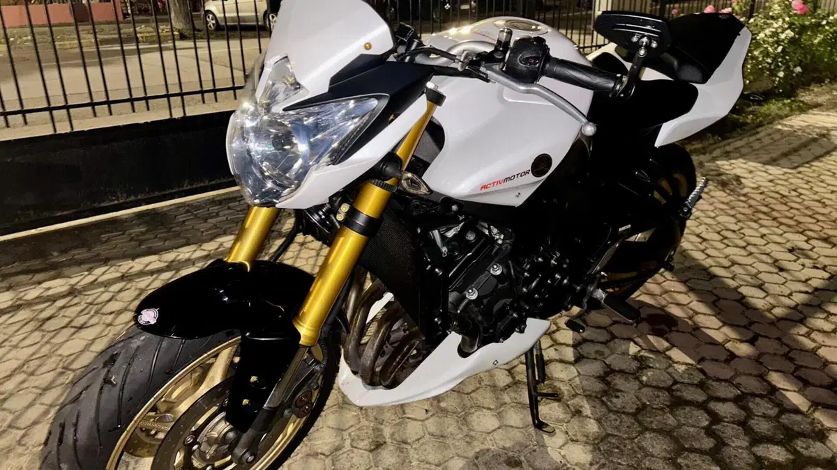 Yamaha FZ8 (2010 - 12)  (4)