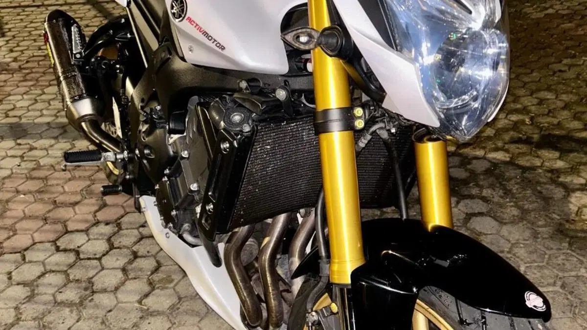 Yamaha FZ8 (2010 - 12)  (7)