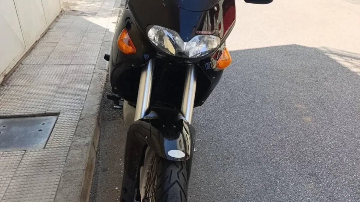 Aprilia Pegaso 650 (1997 - 00)  (5)