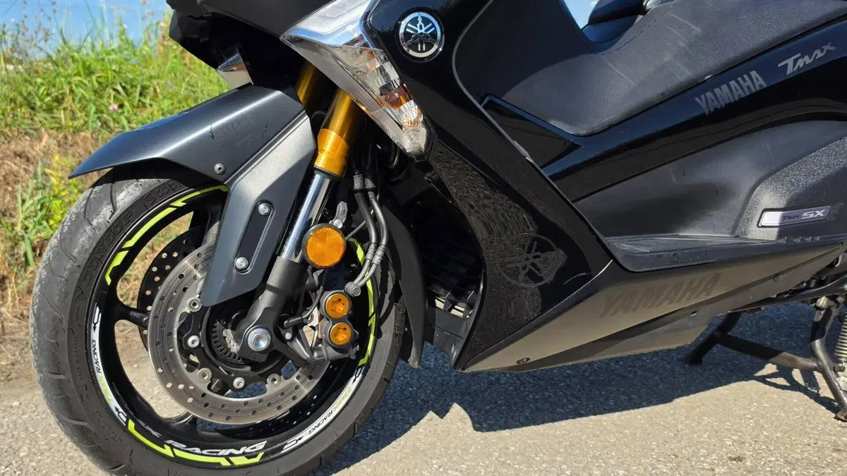 Yamaha T-Max 530 SX (2017 - 19)  (3)