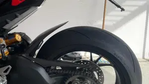 Ducati Panigale V4 R 1000 (2019 - 20)  (8)