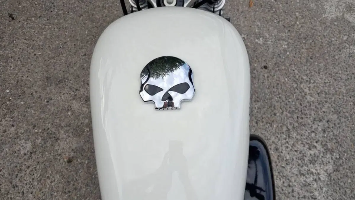 Harley-Davidson 883 R (2008 - 16) - XL 883R  (2)