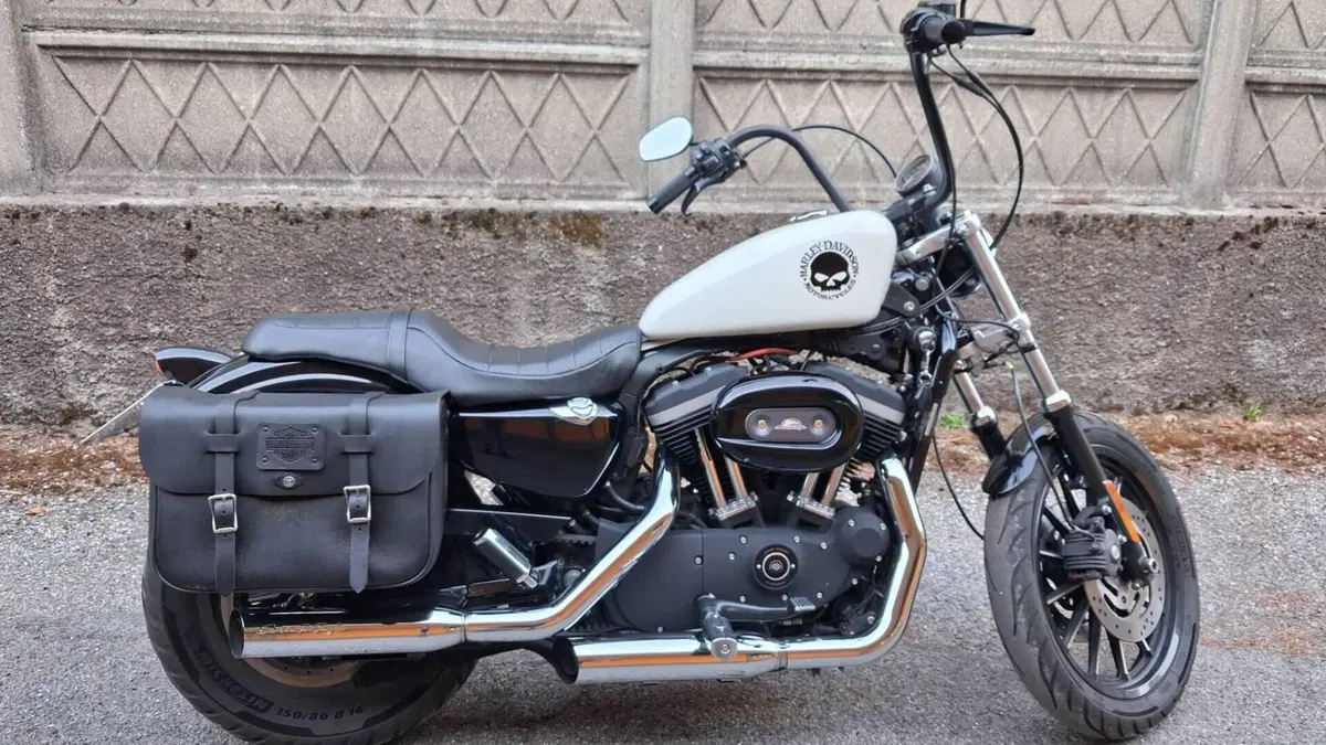 Harley-Davidson 883 R (2008 - 16) - XL 883R  (4)