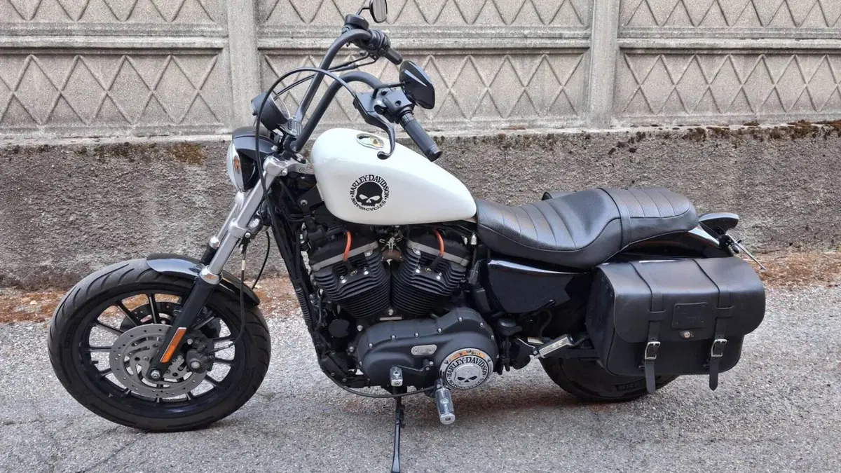Harley-Davidson 883 R (2008 - 16) - XL 883R  (5)