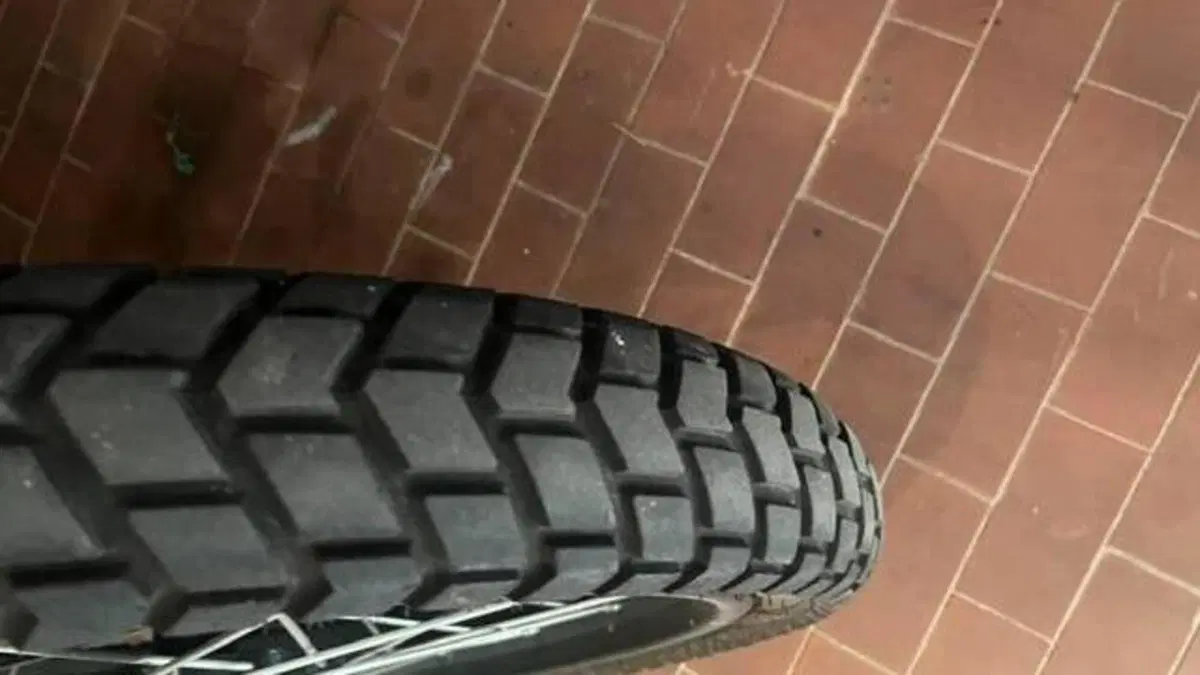Royal Enfield Himalayan 411 (2021 - 24)  (7)