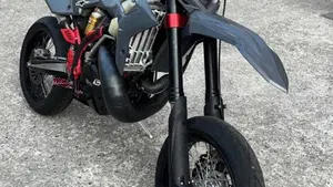 Betamotor RR 300 2T Enduro (2013)  (3)