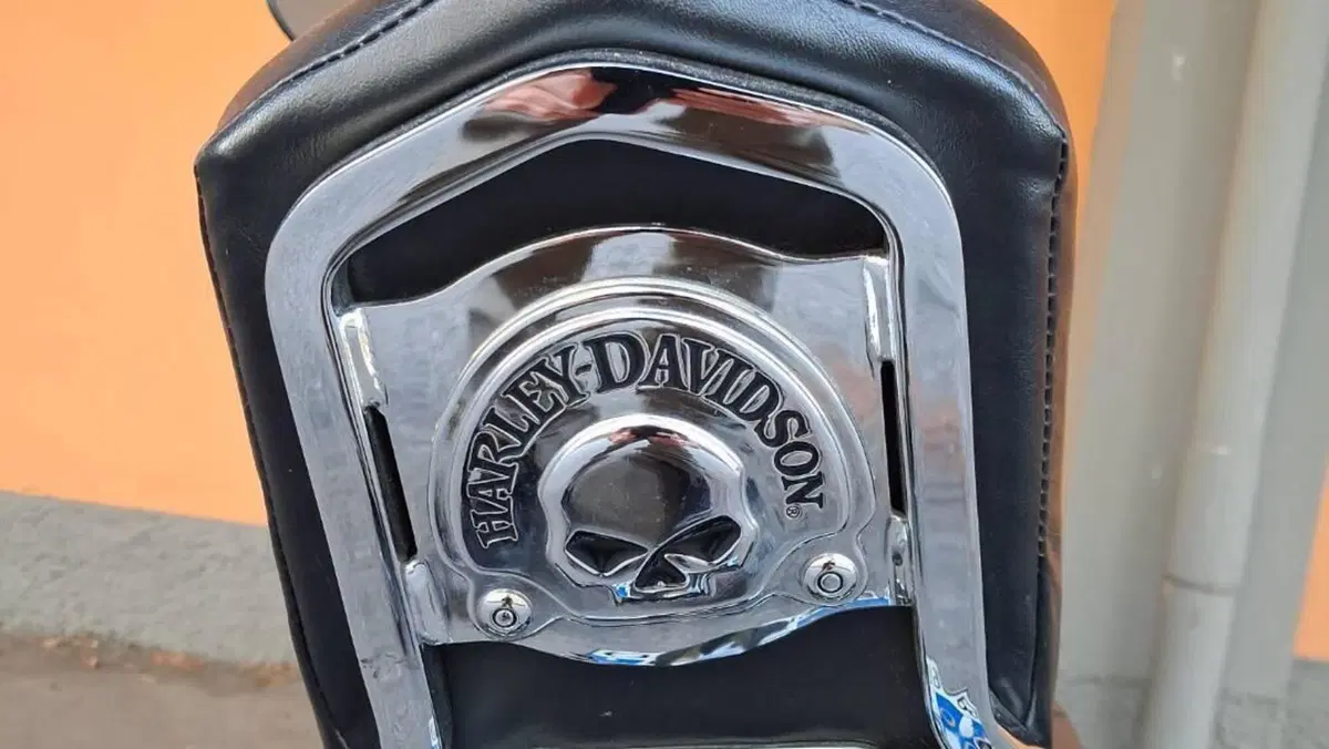 Harley-Davidson 883 R (2008 - 16) - XL 883R  (14)