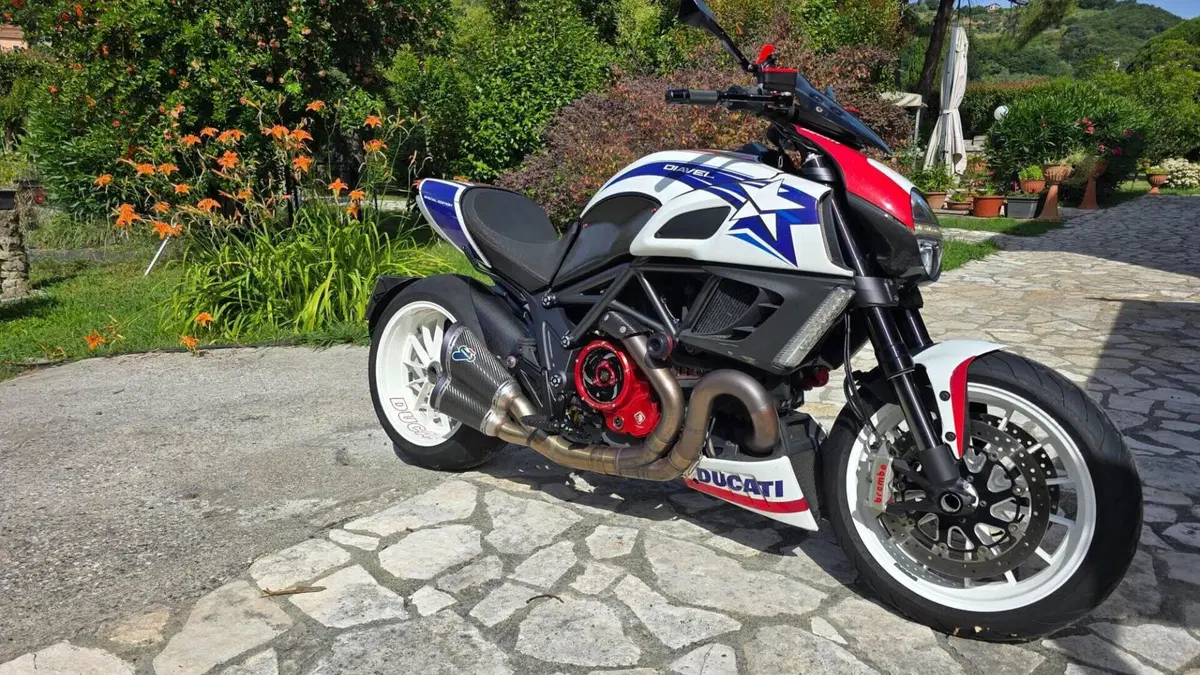 Ducati Diavel 1200 Carbon (2010 - 13)  (10)