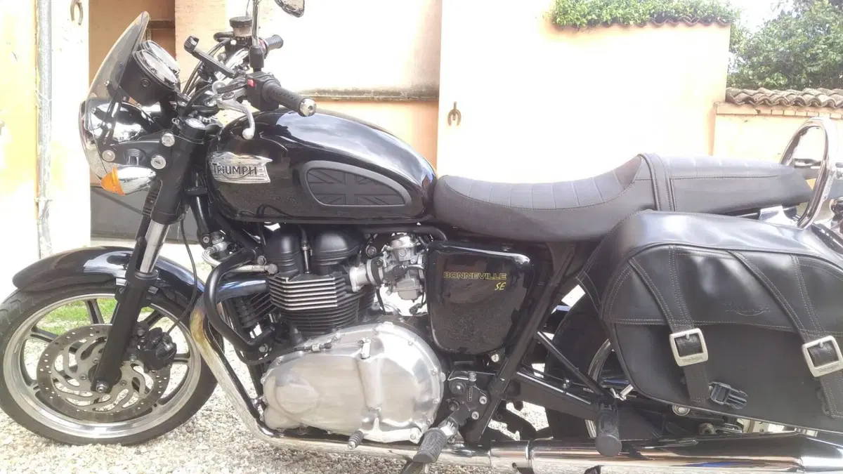 Triumph Bonneville SE (2009 - 13)  (10)