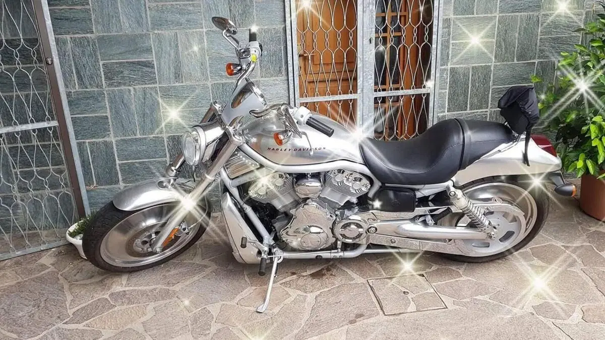 Harley-Davidson   (6)