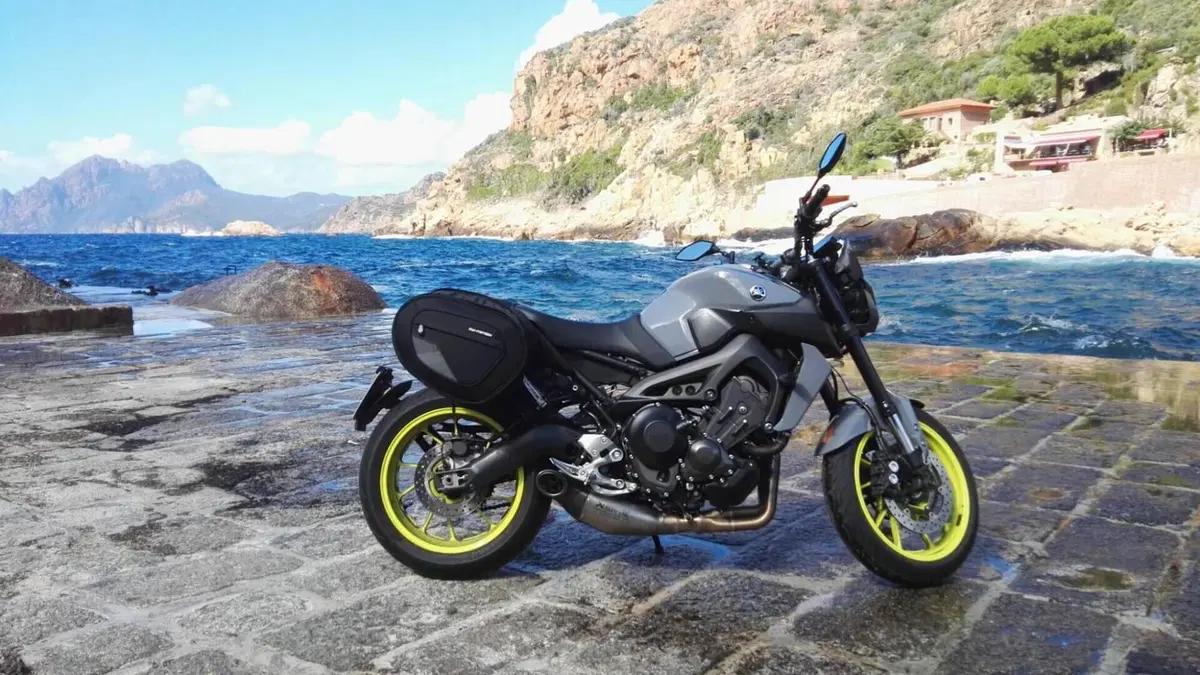Yamaha MT-09 ABS (2016)  (4)