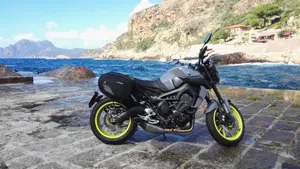 Yamaha MT-09 ABS (2016)  (4)
