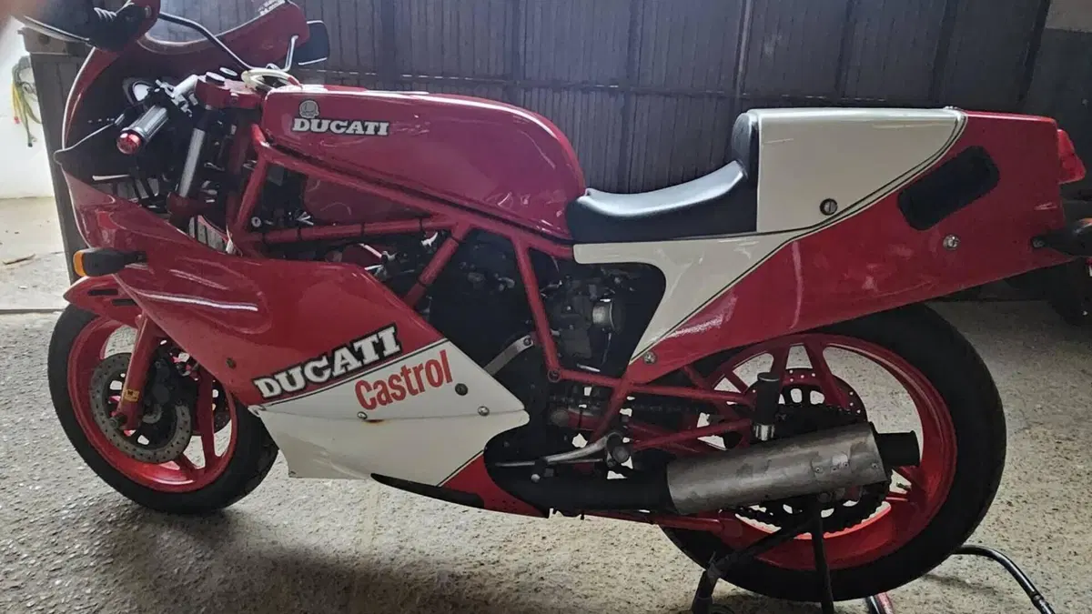 Ducati   (3)