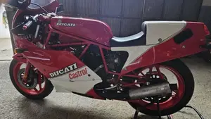 Ducati   (3)