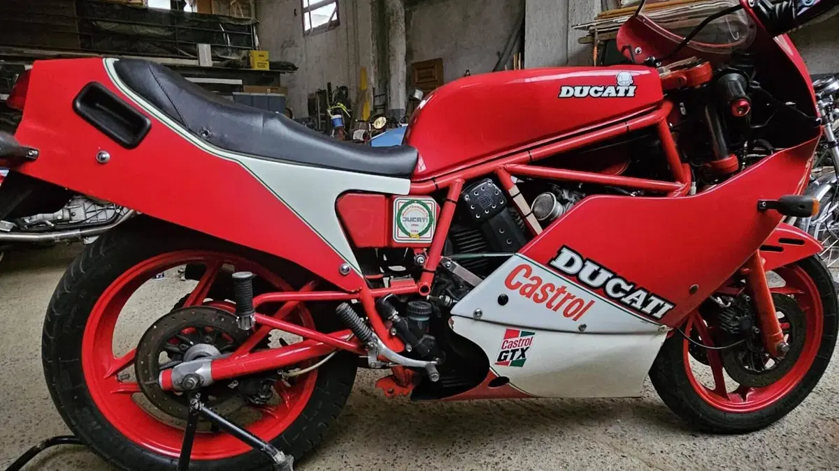 Ducati   (4)