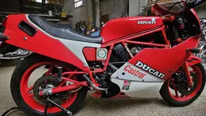 Ducati   (4)