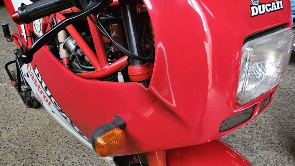 Ducati   (11)