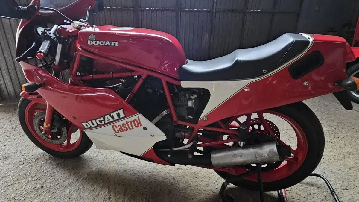 Ducati   (12)