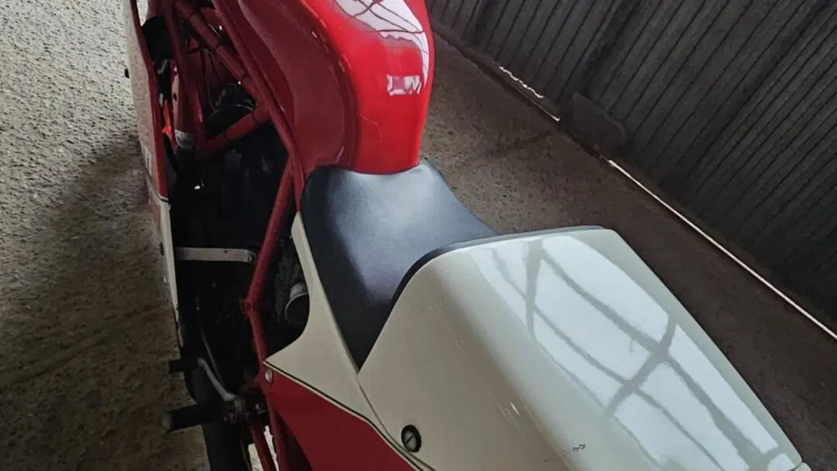 Ducati   (13)