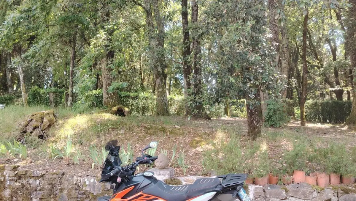 KTM 790 Adventure (2019 - 20)  (8)
