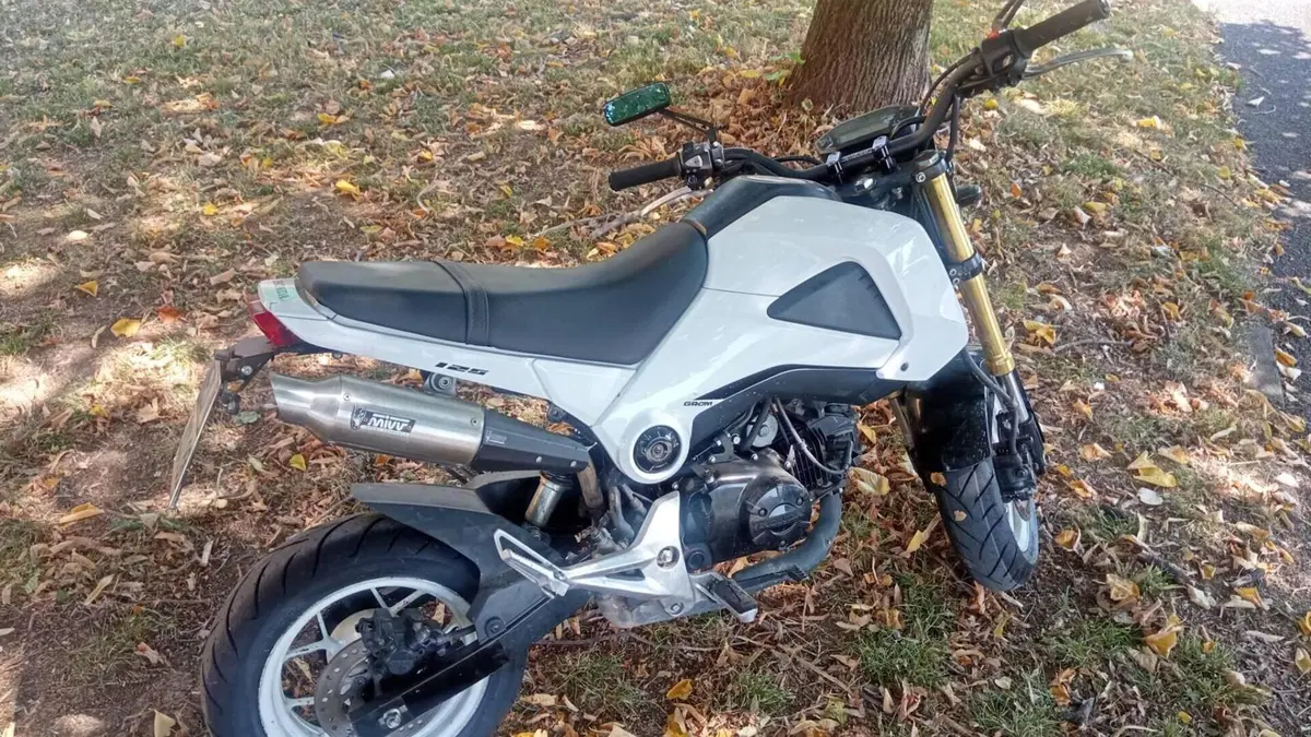 Honda MSX 125 (2013 - 15) 
