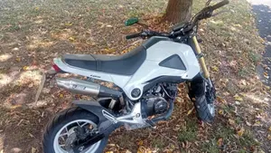 Honda MSX 125 (2013 - 15) 