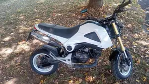 Honda MSX 125 (2013 - 15)  (2)