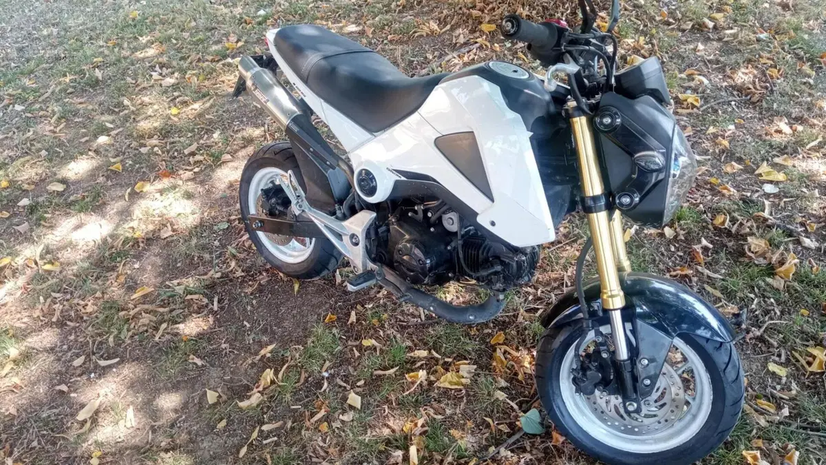 Honda MSX 125 (2013 - 15)  (3)