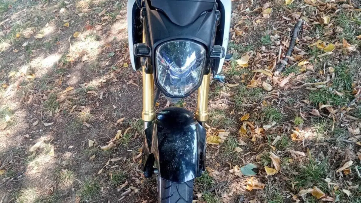 Honda MSX 125 (2013 - 15)  (4)