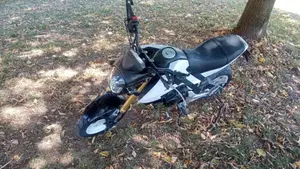 Honda MSX 125 (2013 - 15)  (5)