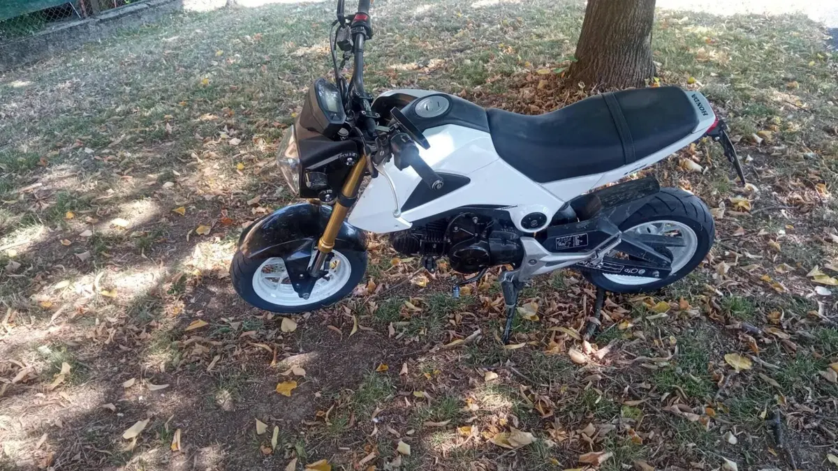 Honda MSX 125 (2013 - 15)  (6)