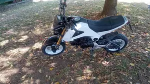Honda MSX 125 (2013 - 15)  (6)
