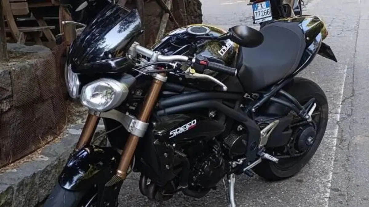 Triumph Speed Triple 1050 (2011 - 13)  (3)