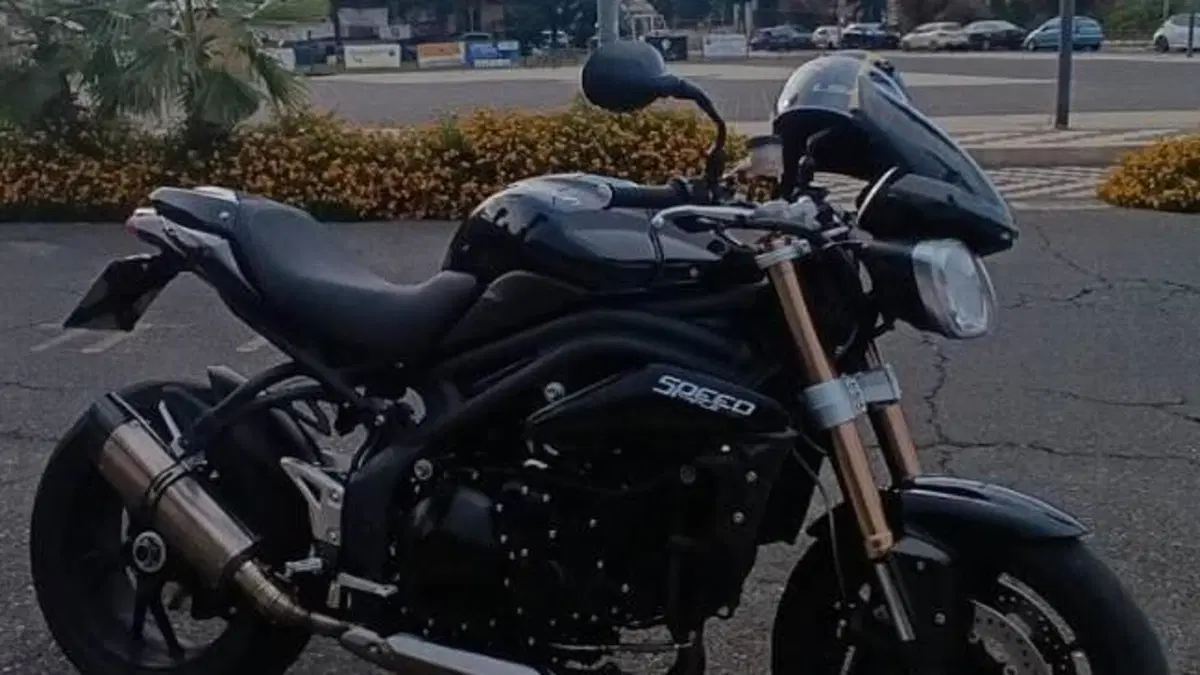 Triumph Speed Triple 1050 (2011 - 13)  (7)