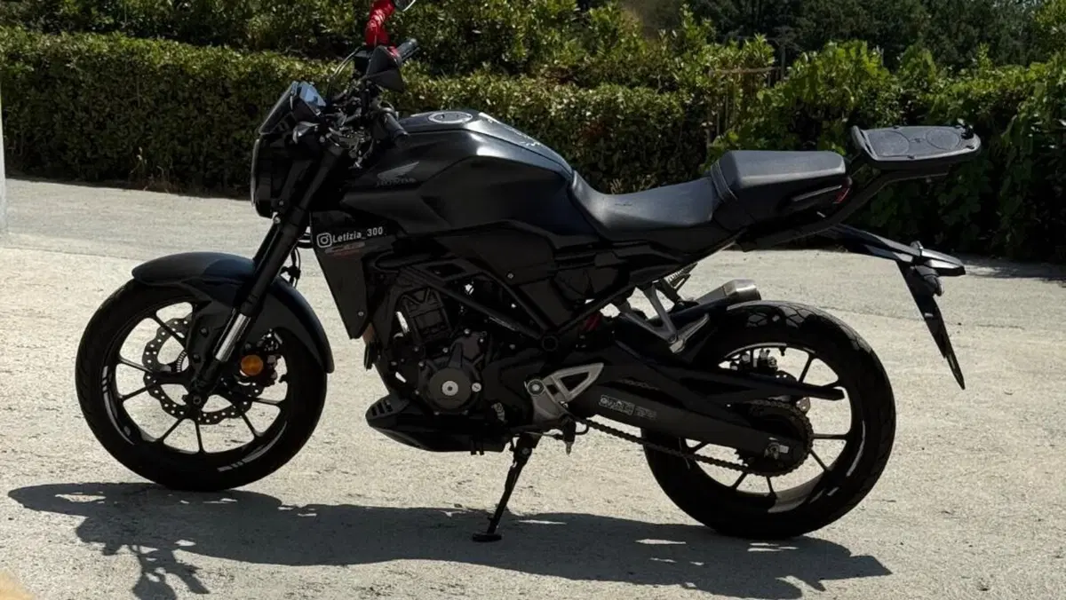 Honda CB 300 R (2022 - 26)  (3)