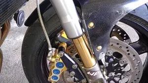 Triumph Speed Triple 955 (1998 - 01)  (3)