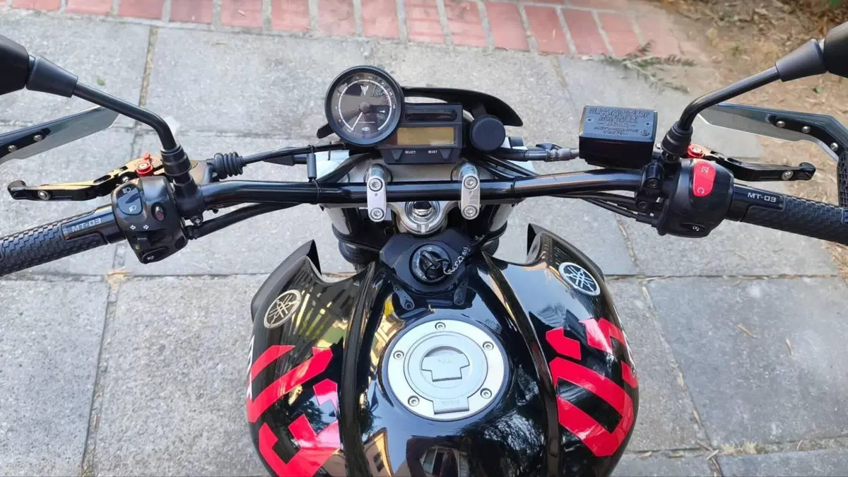 Yamaha MT-03 (2006 - 14)  (11)
