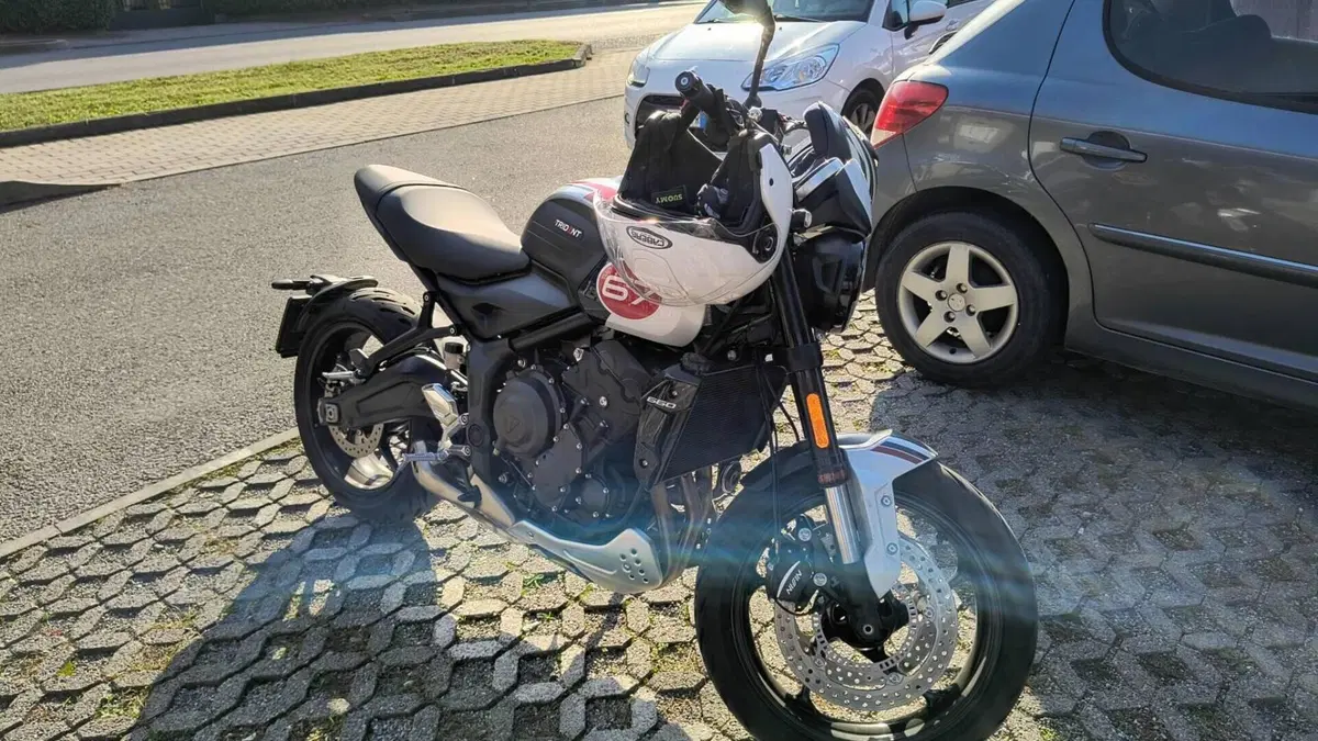 Triumph Trident 660 Triple Tribute Edition (2024)  (2)