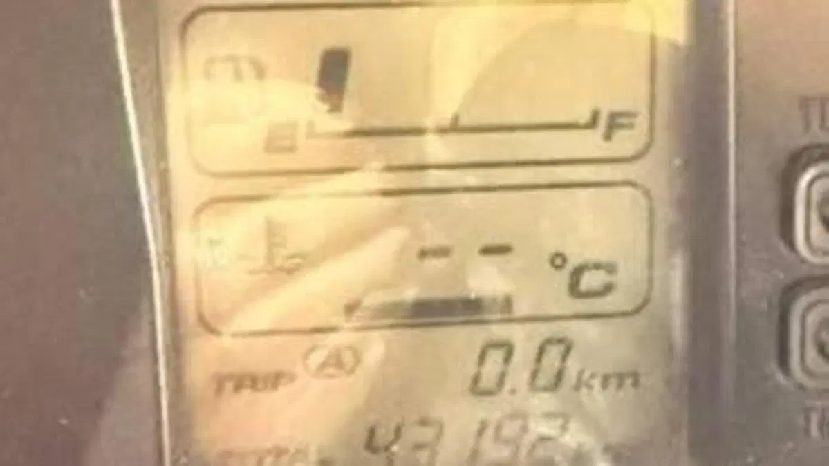 Honda VFR 800 (1998 - 01)  (5)