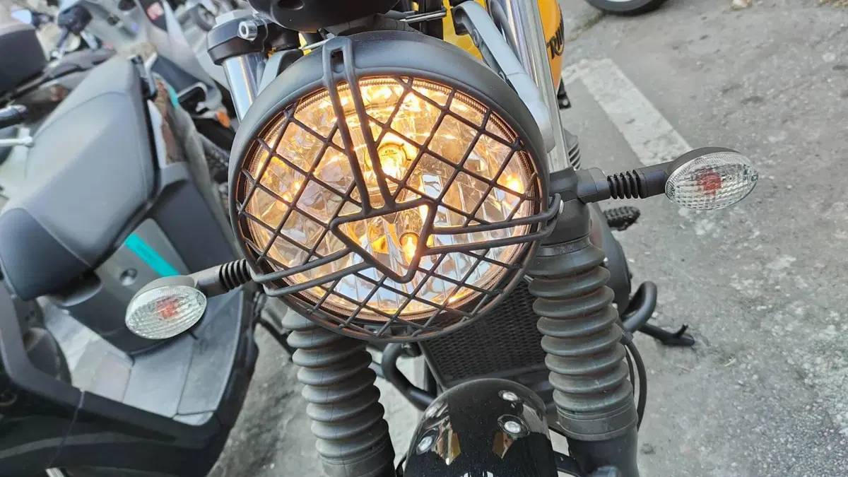 Triumph Scrambler 900 (2023 - 25)  (3)