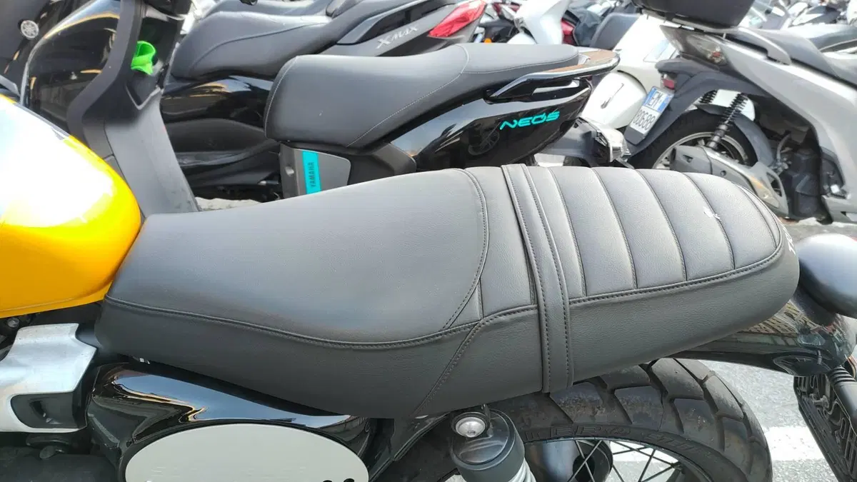 Triumph Scrambler 900 (2023 - 25)  (4)