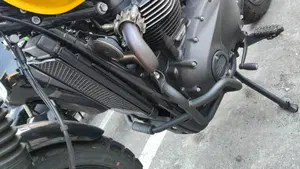 Triumph Scrambler 900 (2023 - 25)  (6)