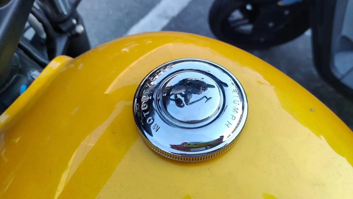 Triumph Scrambler 900 (2023 - 25)  (7)