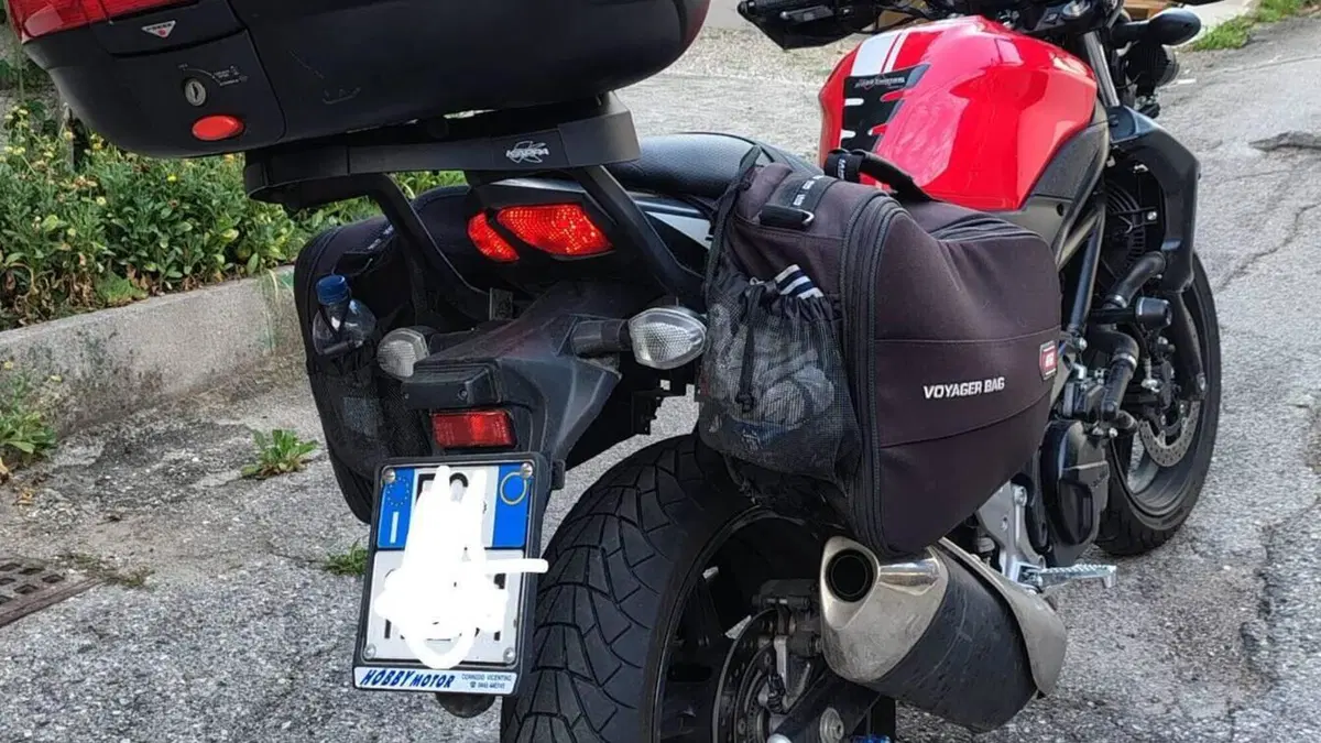 Suzuki SV 650 (2016 - 20)  (5)