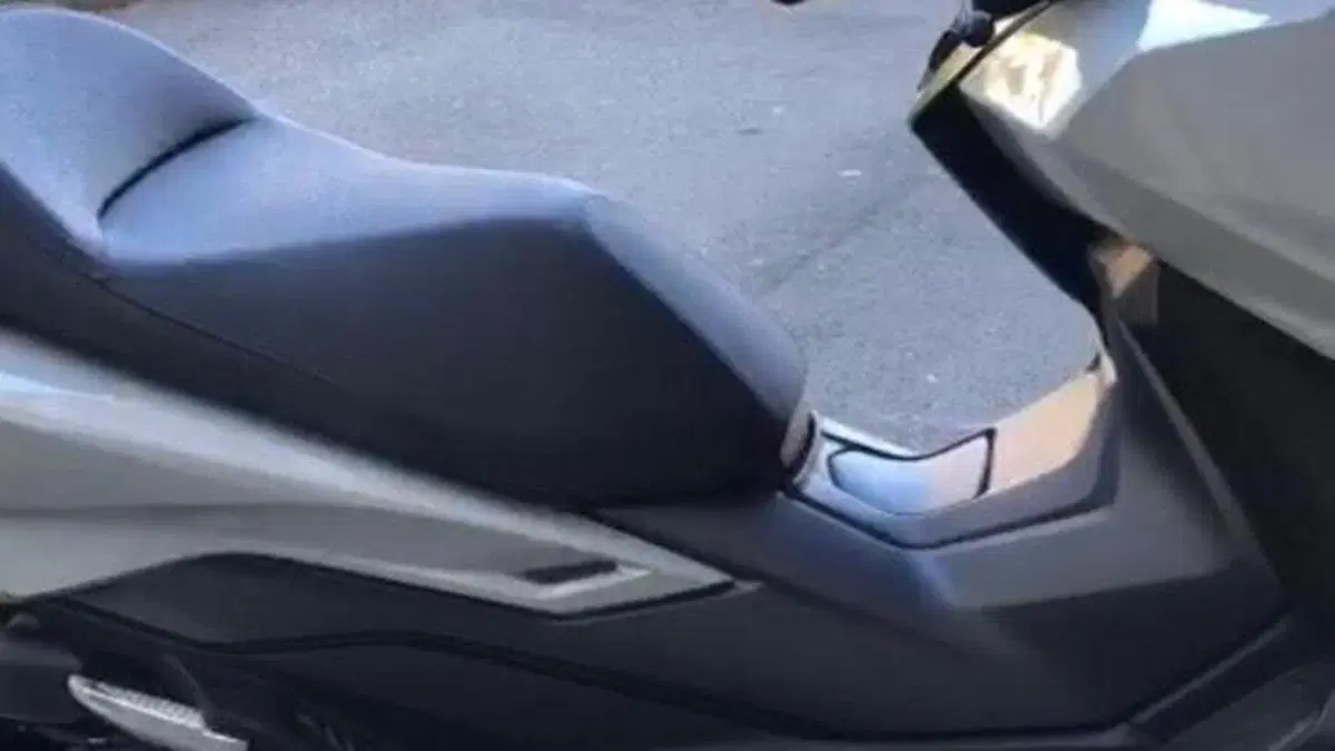 Honda Forza 350 Deluxe (2022 - 24)  (13)