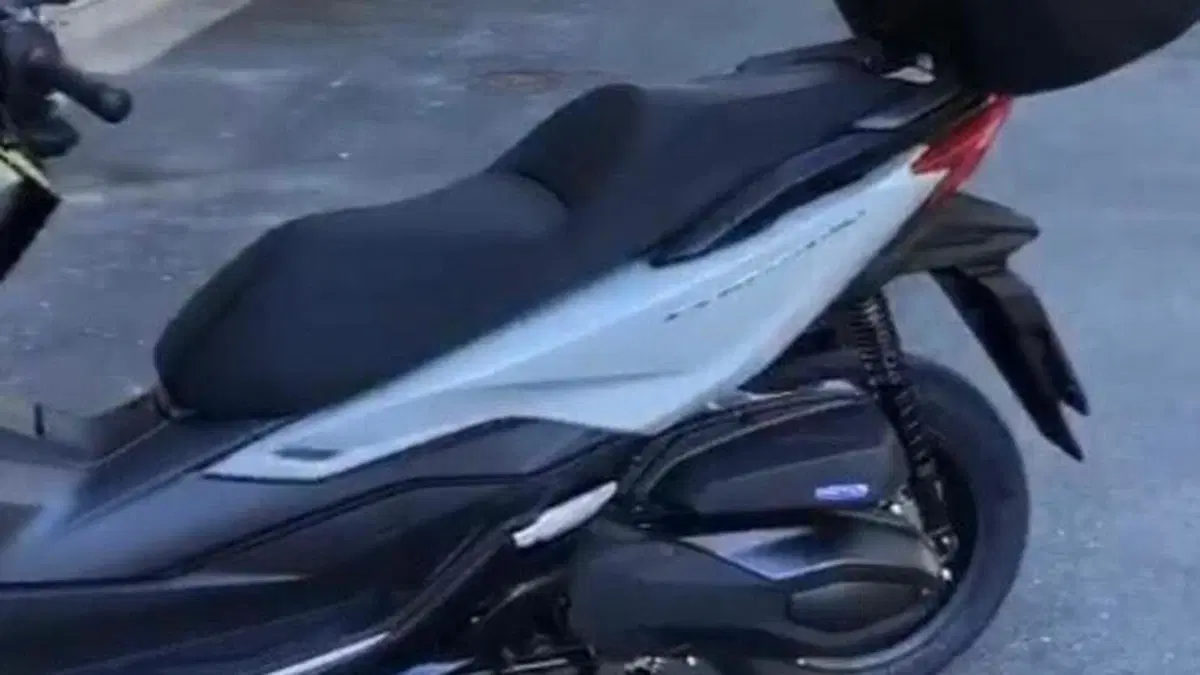 Honda Forza 350 Deluxe (2022 - 24)  (3)
