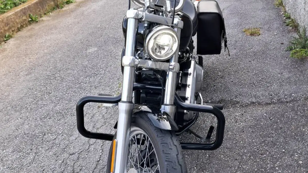 Harley-Davidson Softail Standard (2020) - FXST  (2)