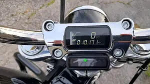 Harley-Davidson Softail Standard (2020) - FXST  (3)