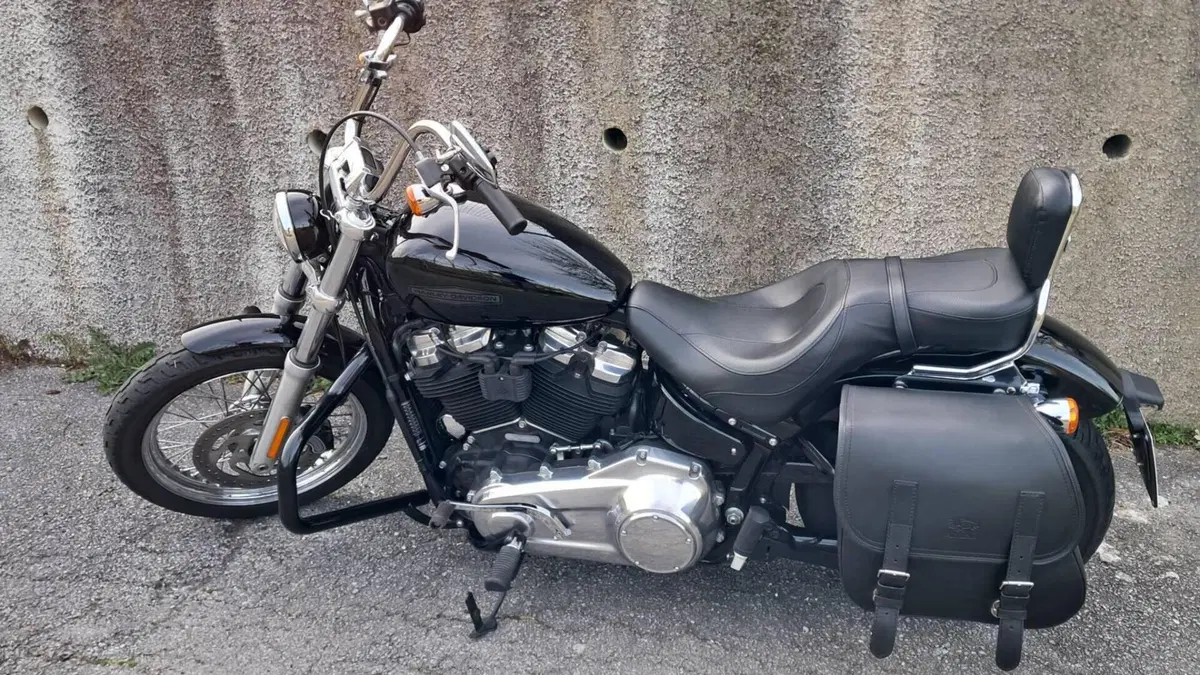 Harley-Davidson Softail Standard (2020) - FXST  (4)